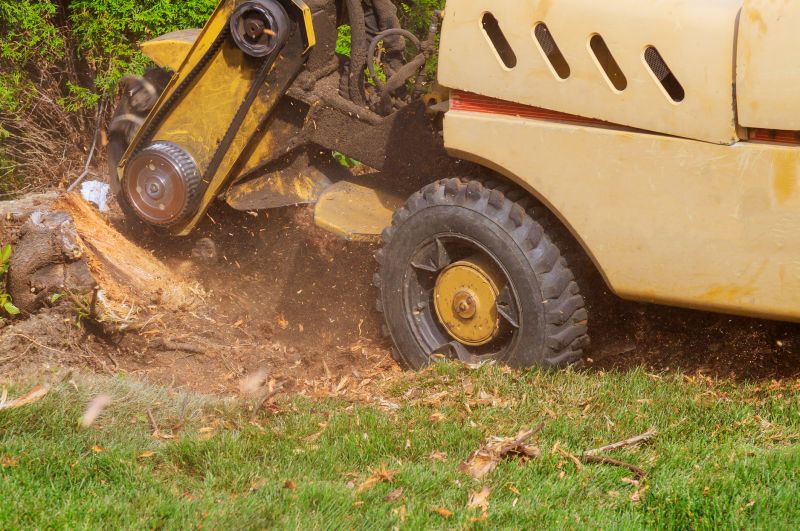 Tree Stump Grinding Costs — Cost of Tree Stump Grinding